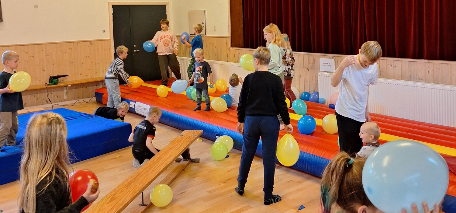 Aktivitetsdag